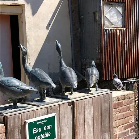 Côté Pecheur Honfleur