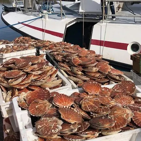 Frühstückspension Cote Pecheur Honfleur