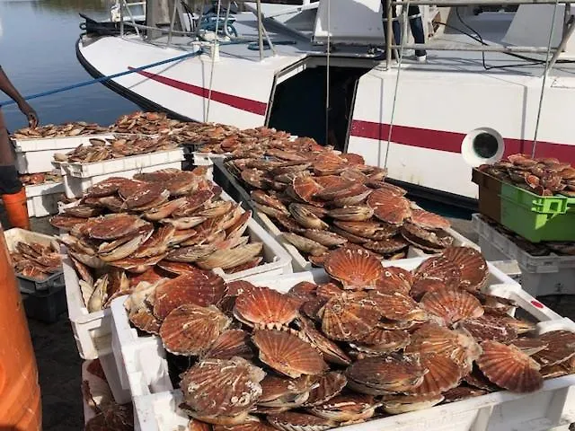 Bed & Breakfast Cote Pecheur Honfleur